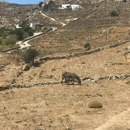 Naira Family Mykonos Prázdninový dům