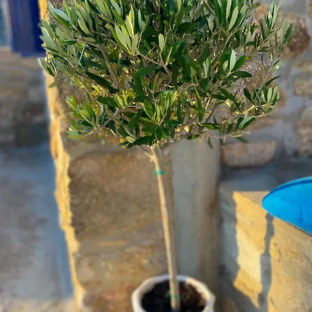Ferienhaus Naira Family Mykonos