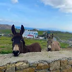 Naira Family Mykonos