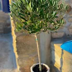 Casa vacanze Naira Family Mykonos
