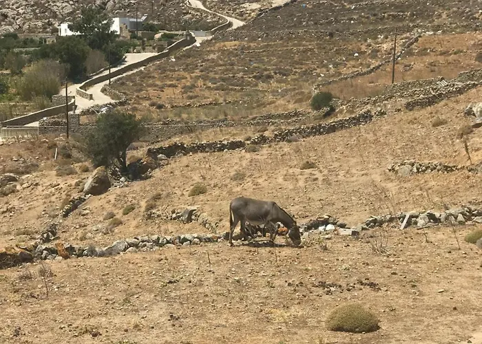 Naira Family Mykonos Dom wakacyjny